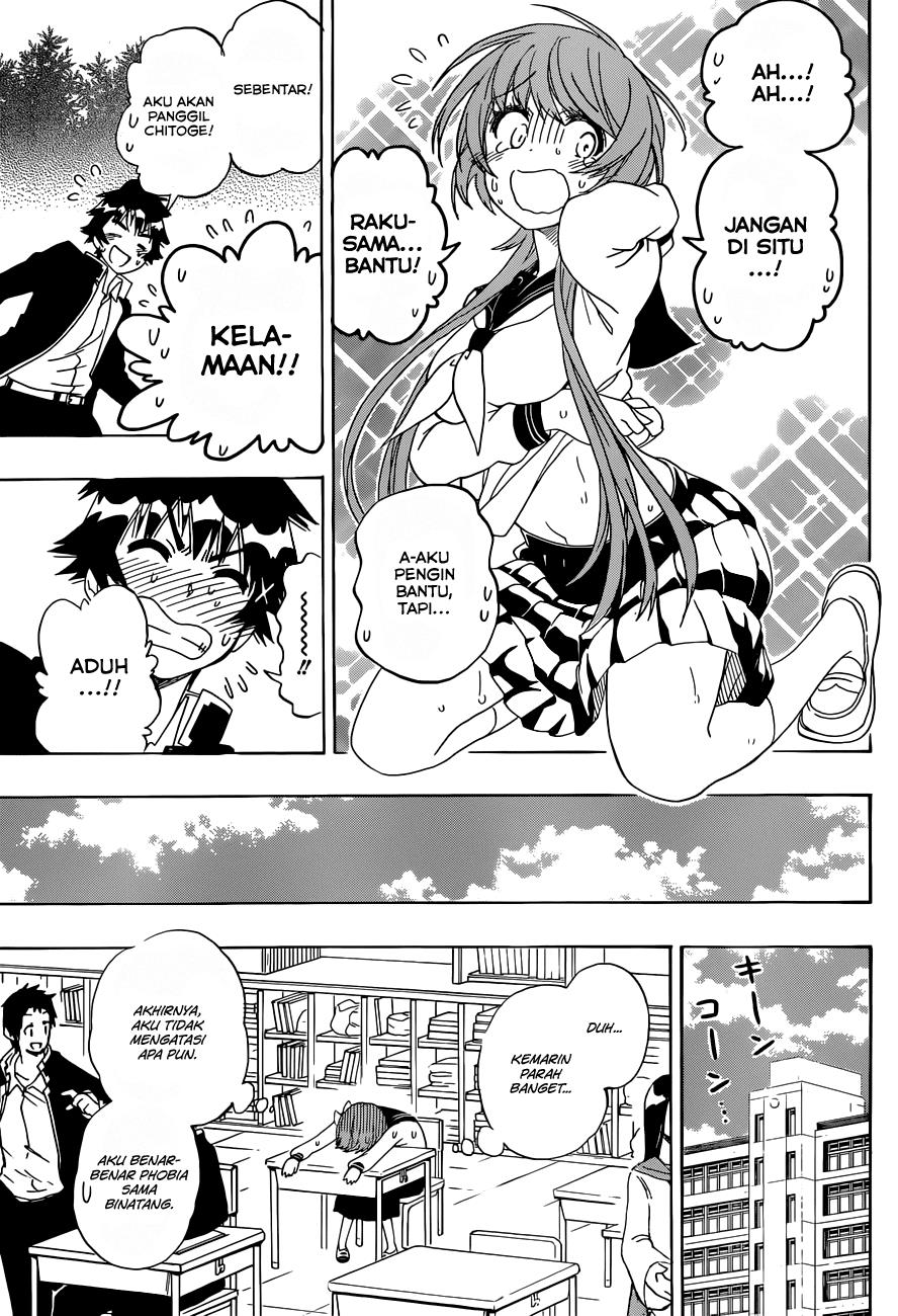 nisekoi - Chapter: 142