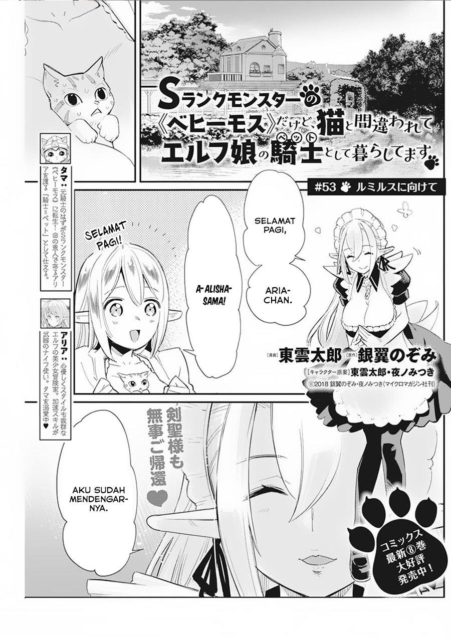 s-rank-monster-no-behemoth-dakedo-neko-to-machigawarete-erufu-musume-no-kishi-pet-toshite-kurashitemasu - Chapter: 53