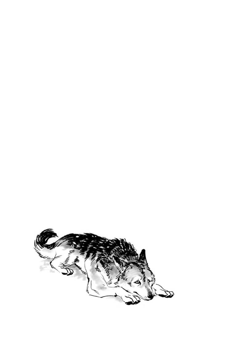 tora-wa-ryuu-wo-mada-tabenai - Chapter: 13
