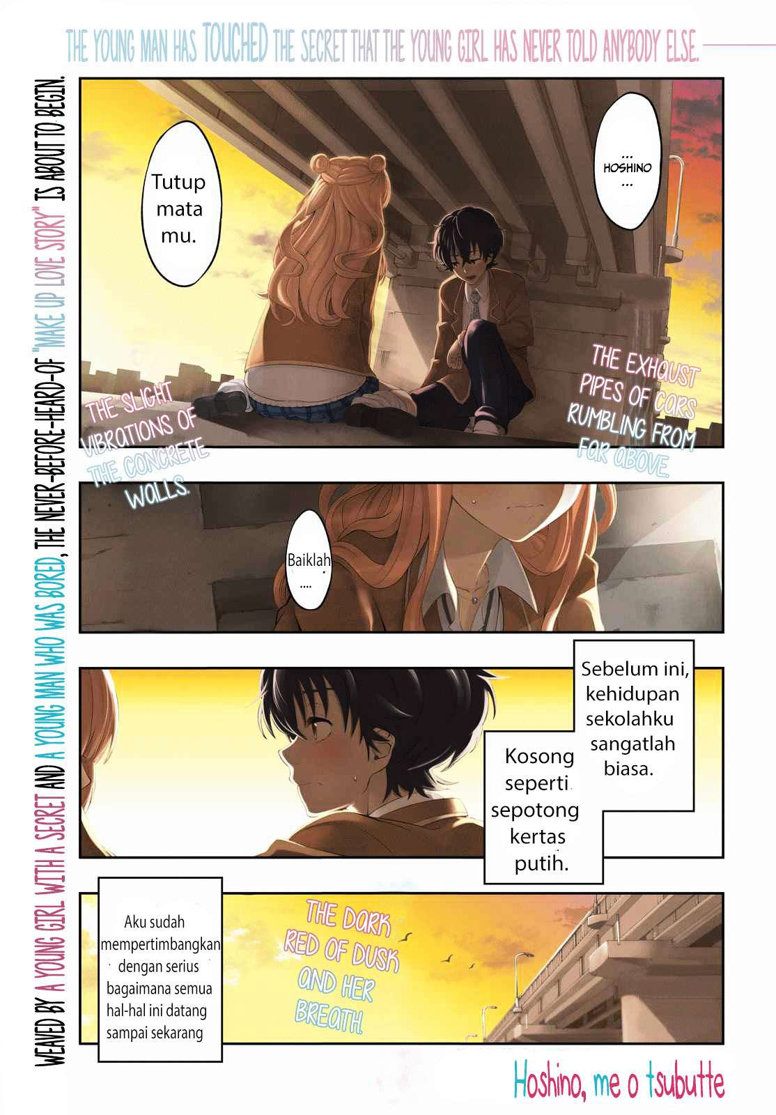 hoshino-me-o-tsubutte - Chapter: 1