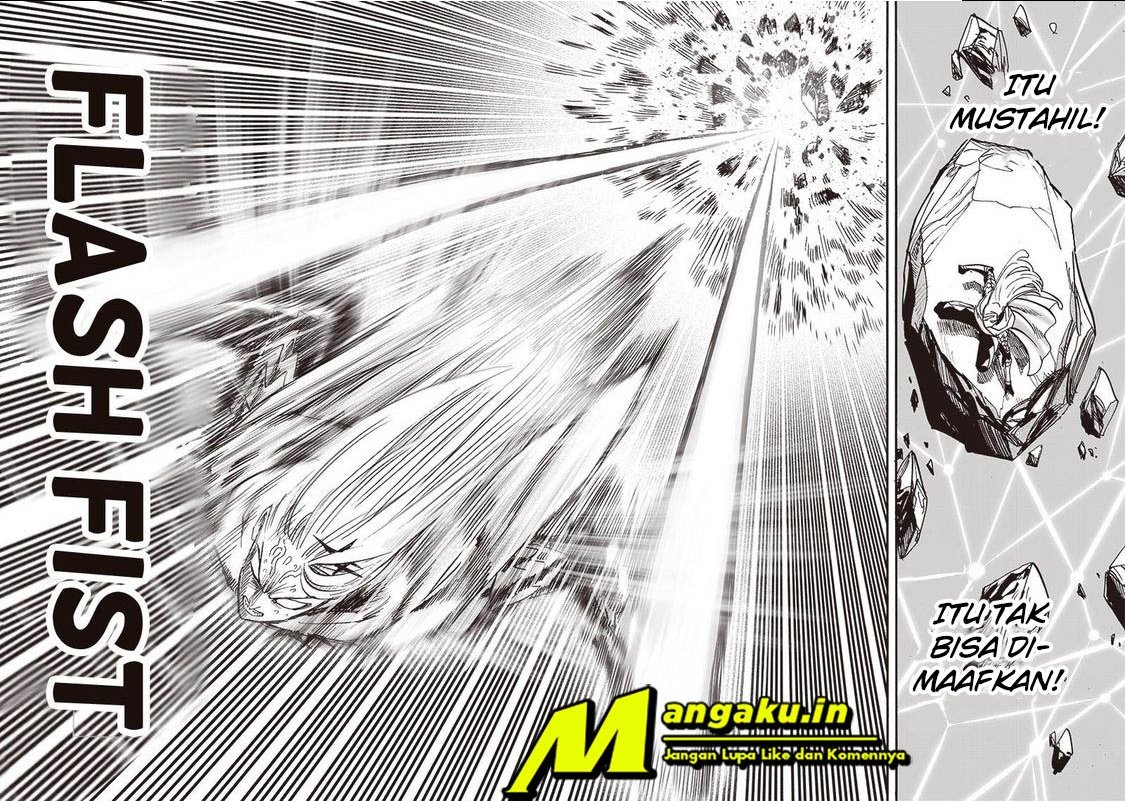 one-punch-man - Chapter: 206