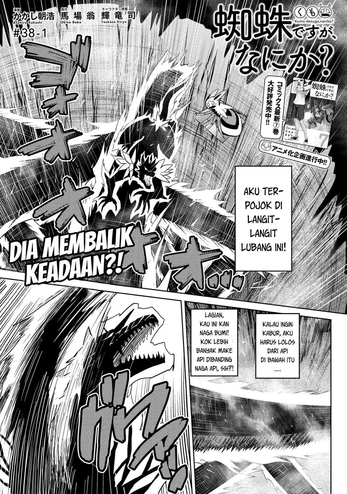 kumo-desu-ga-nani-ka - Chapter: 38.1
