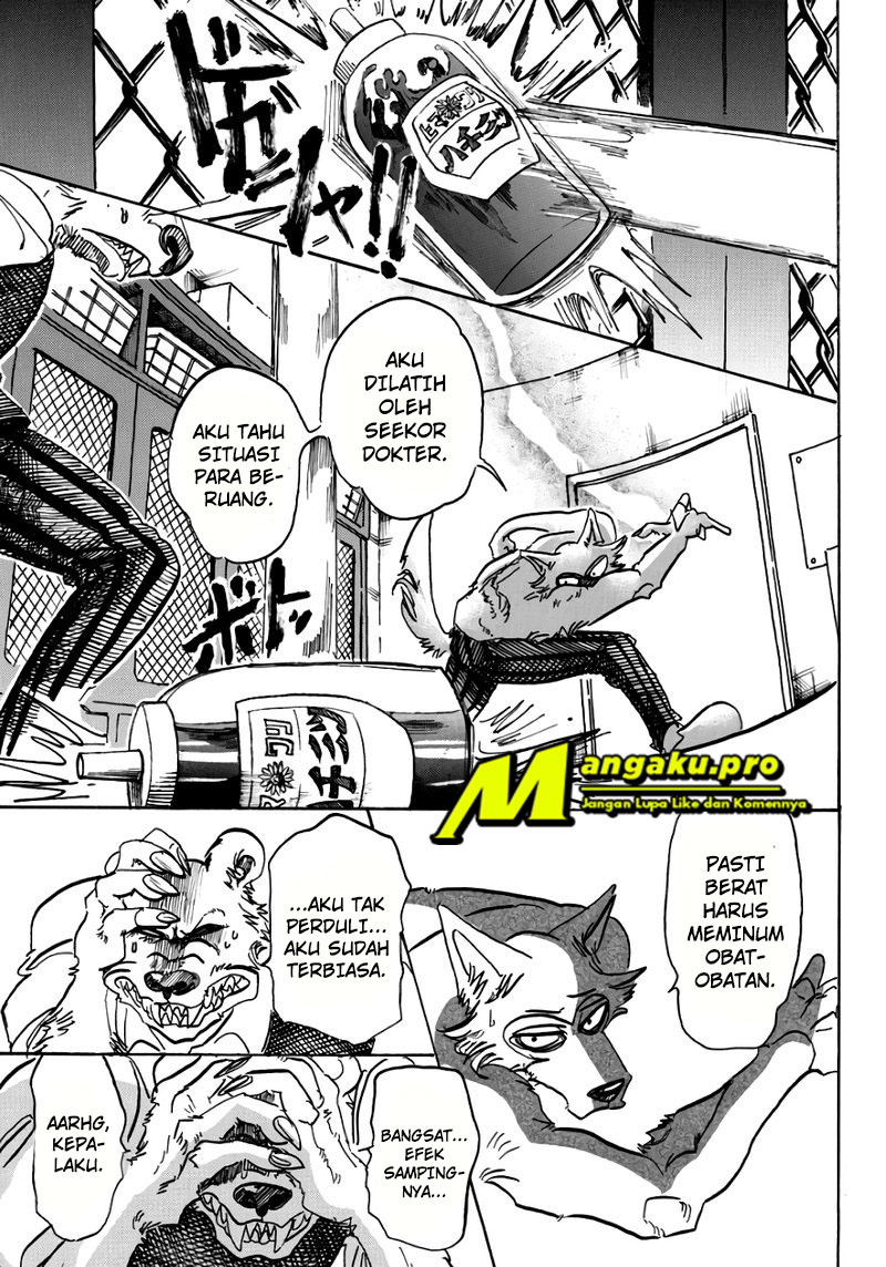 beastars - Chapter: 84