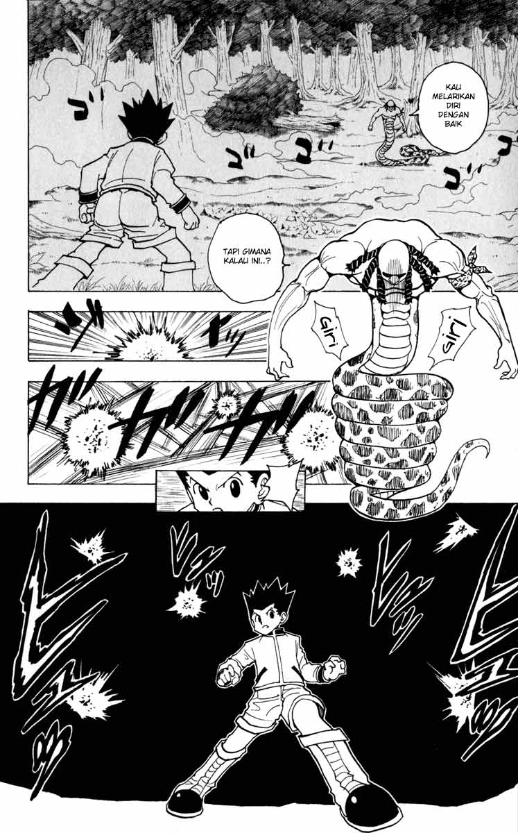 hunter-x-hunter - Chapter: 231