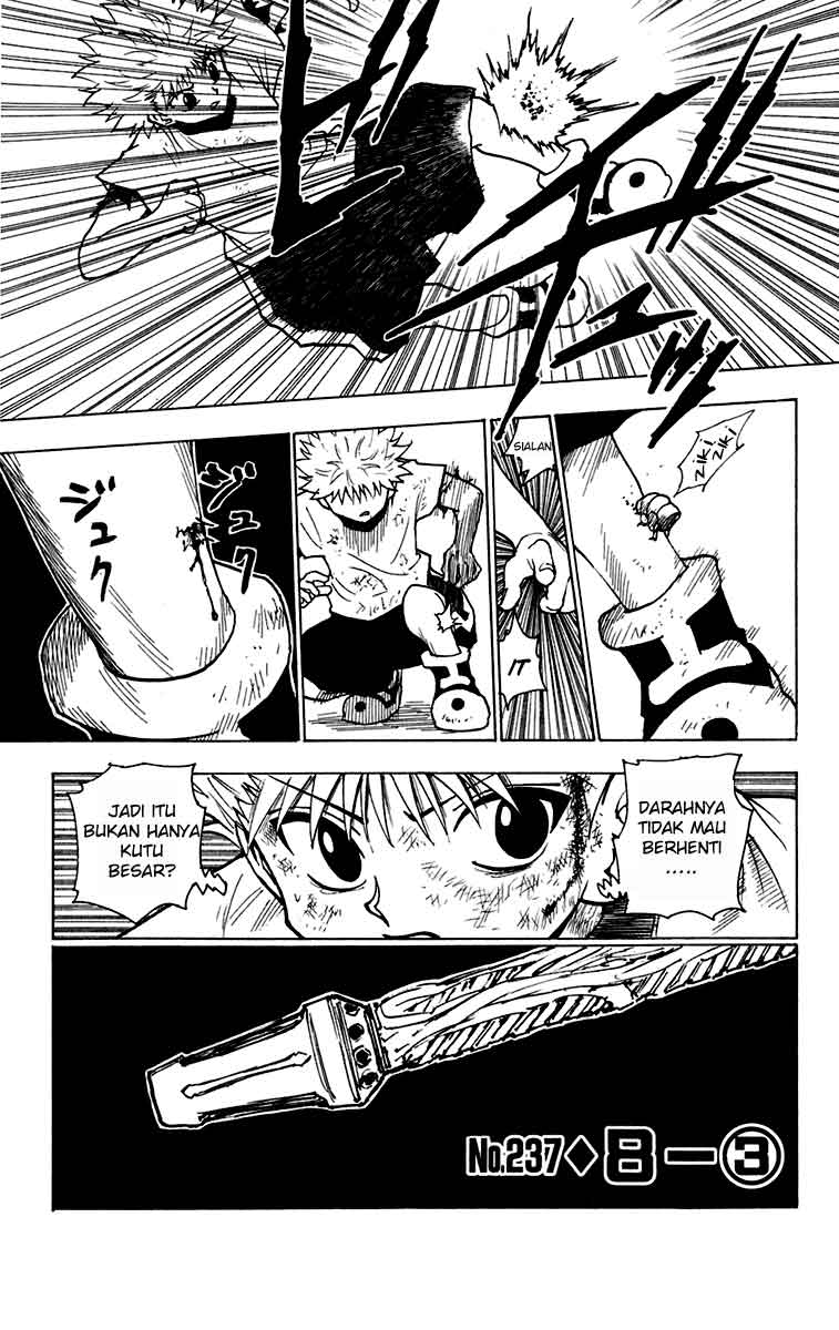 hunter-x-hunter - Chapter: 237