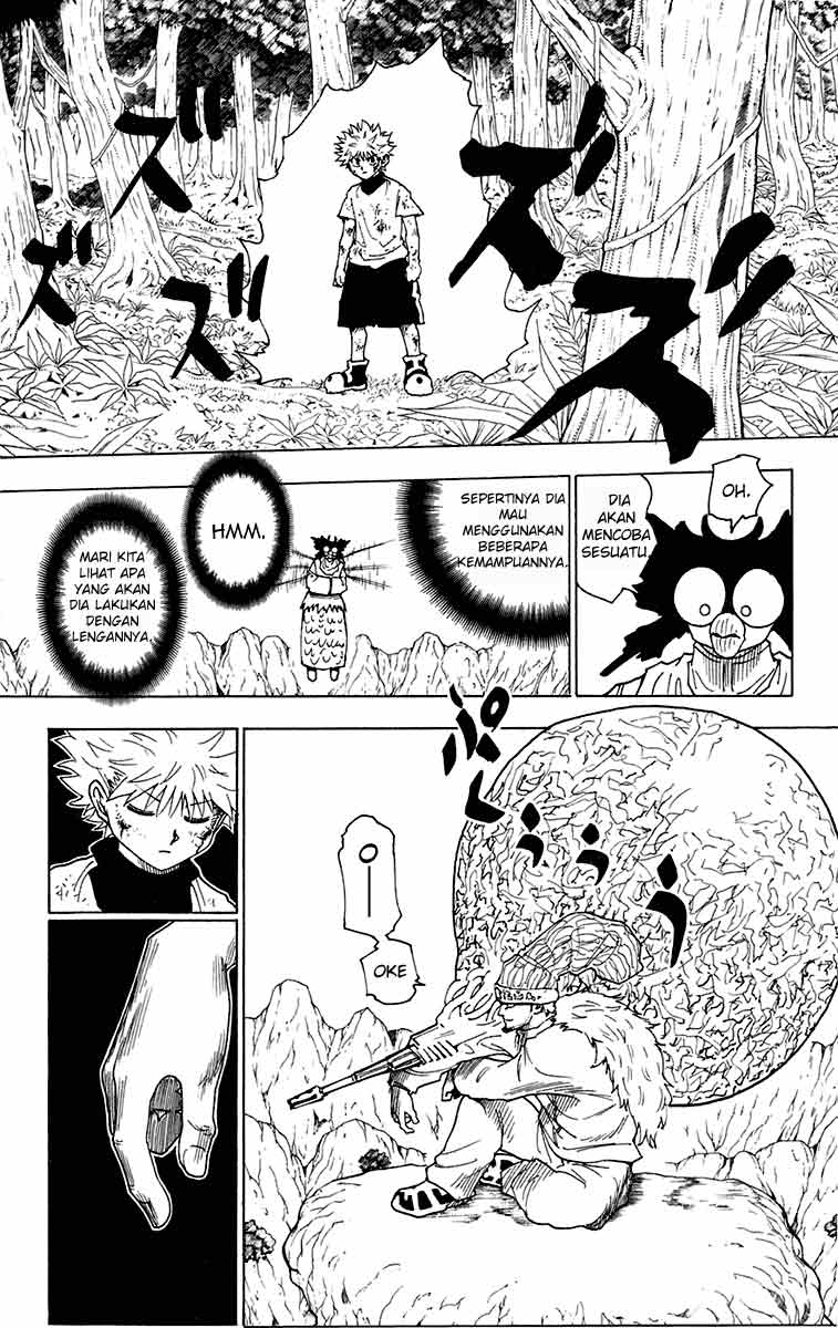 hunter-x-hunter - Chapter: 237