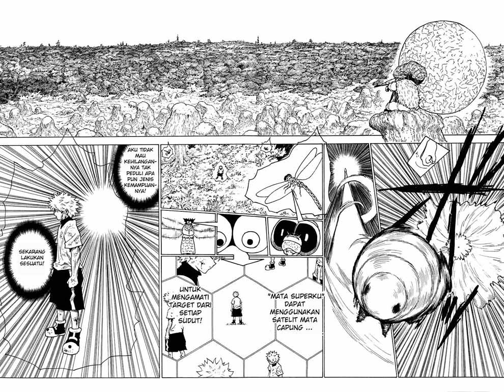hunter-x-hunter - Chapter: 237