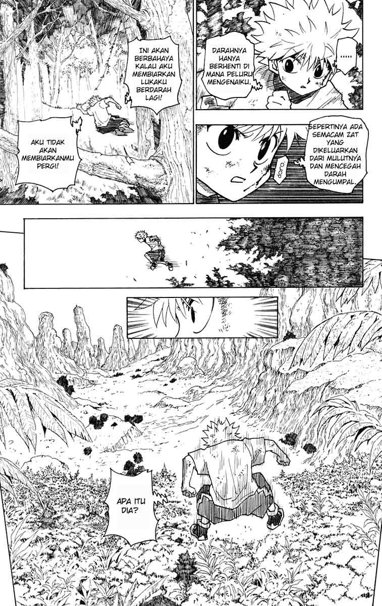 hunter-x-hunter - Chapter: 237