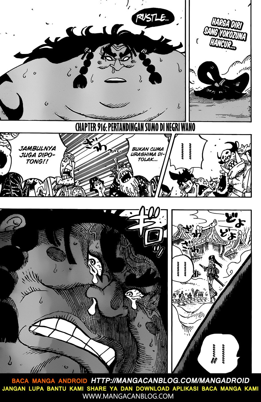 one-piece-id - Chapter: 916