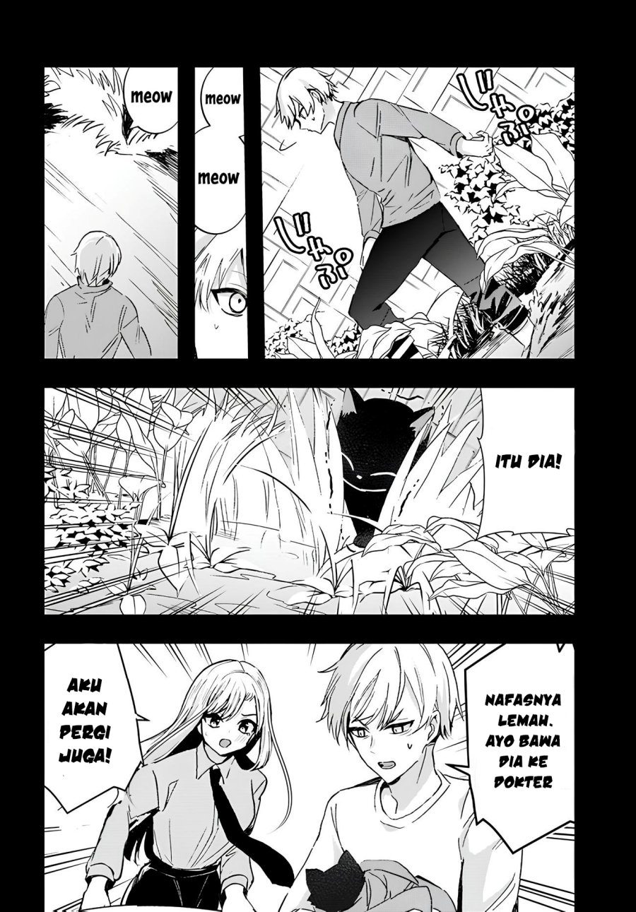 chiteki-de-cool-na-kouhai-bijo-ore-no-kai-neko-ni-naru - Chapter: 6