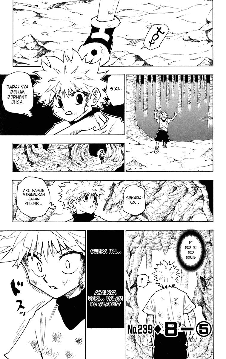 hunter-x-hunter - Chapter: 239