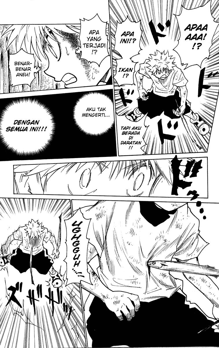hunter-x-hunter - Chapter: 239