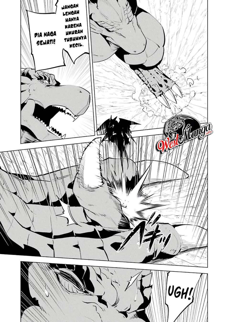 tensei-kenja-no-isekai-raifu-daini-no-shokugyo-wo-ete-sekai-saikyou-ni-narimashita - Chapter: 26