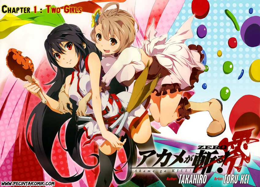 akame-ga-kill-zero - Chapter: 1