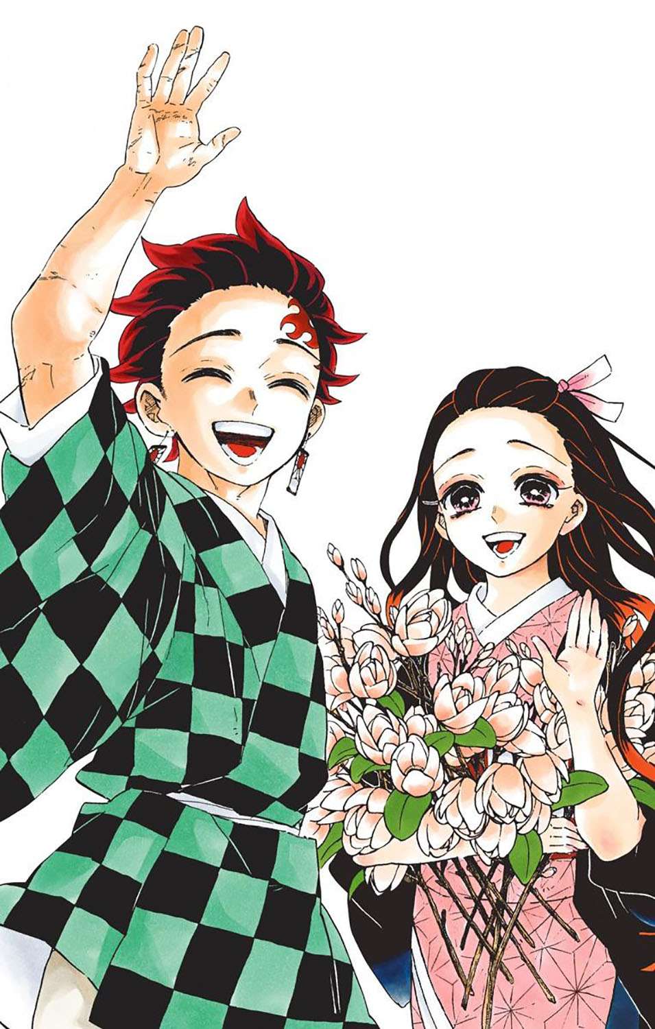 kimetsu-no-yaiba - Chapter: 205.6