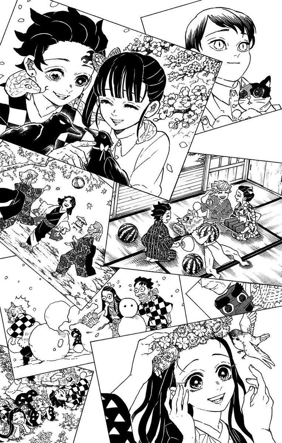 kimetsu-no-yaiba - Chapter: 205.6