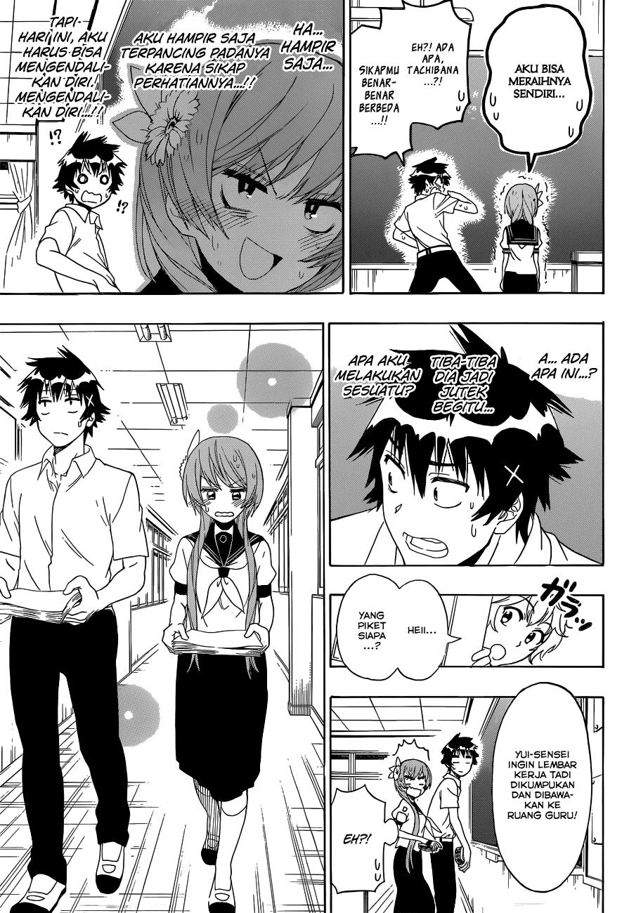 nisekoi - Chapter: 129