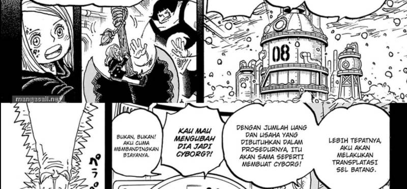 one-piece-id - Chapter: 1099