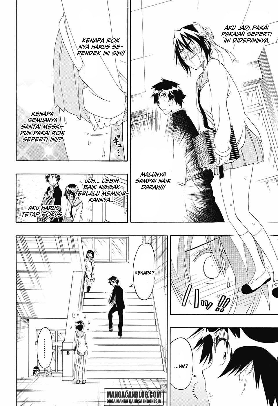 nisekoi - Chapter: 205