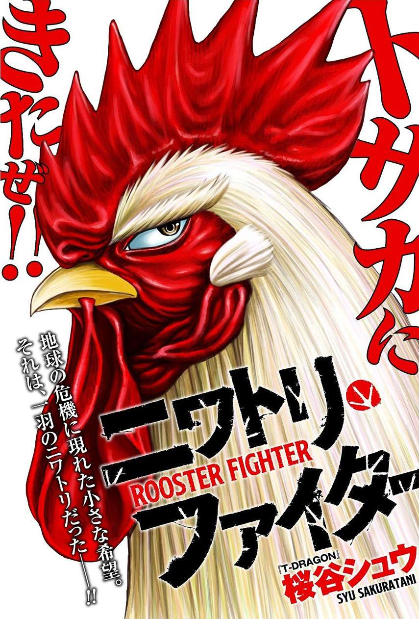 rooster-fighter - Chapter: 6