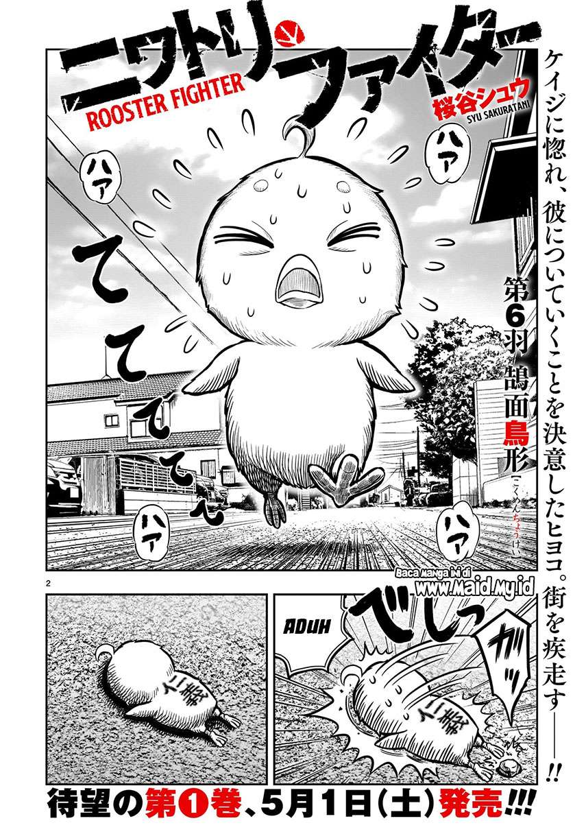 rooster-fighter - Chapter: 6