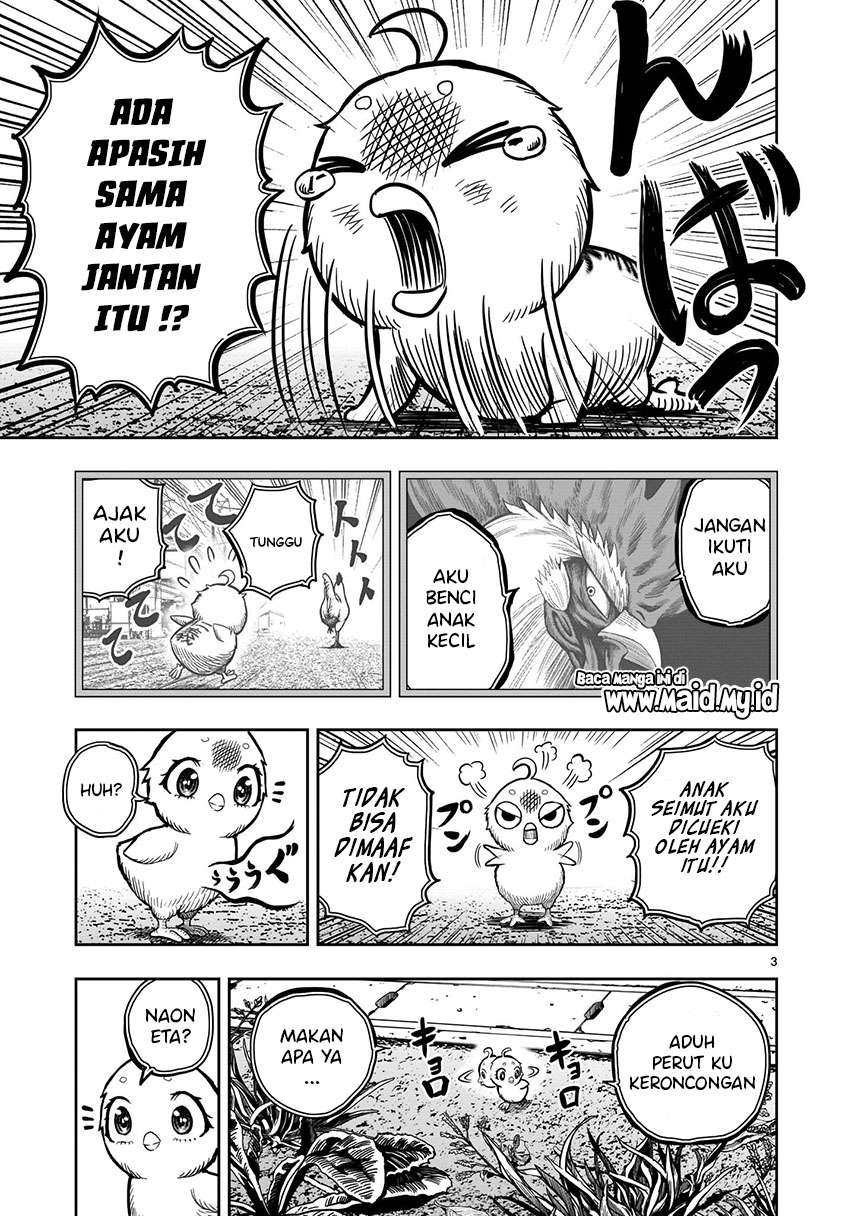 rooster-fighter - Chapter: 6