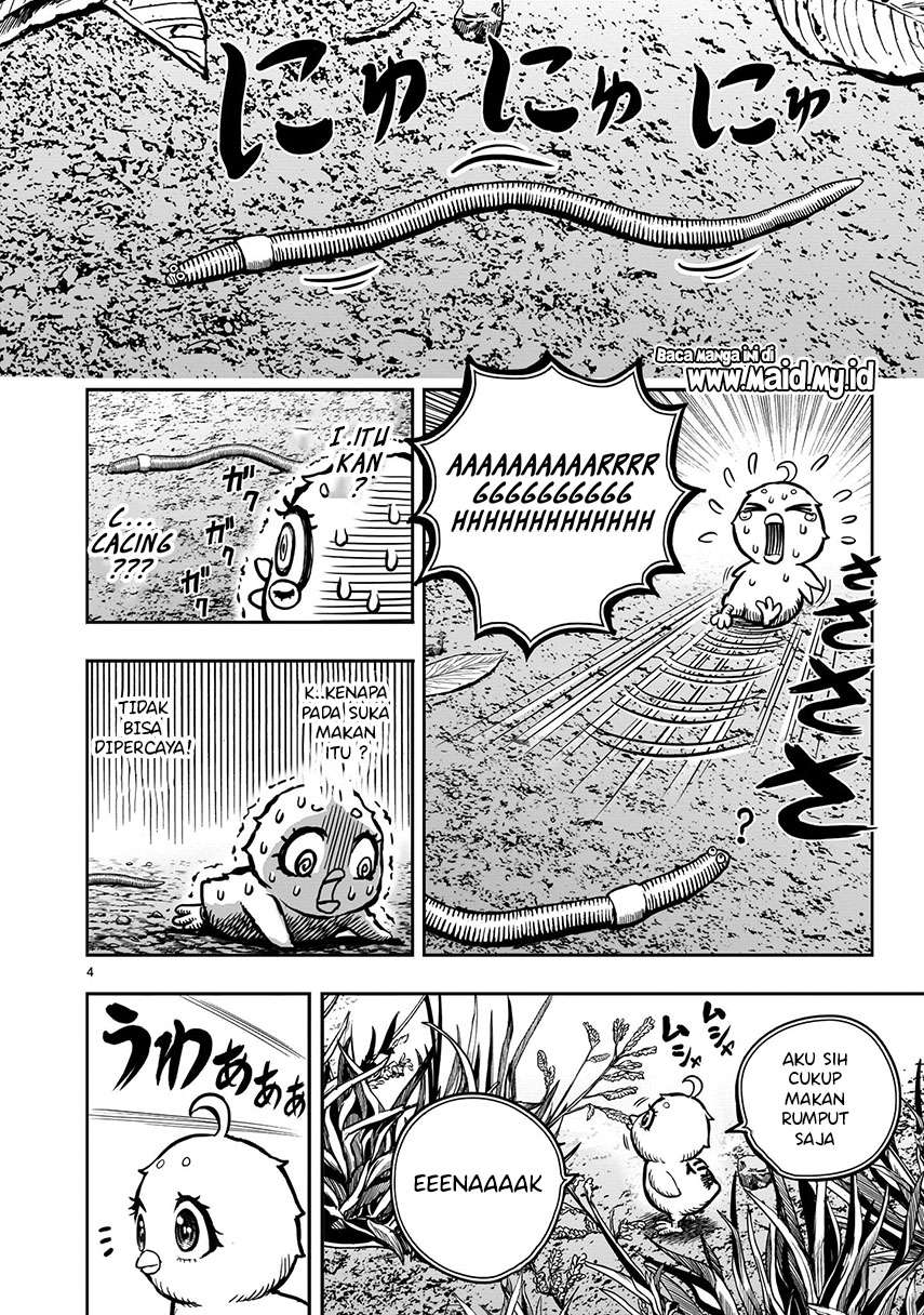 rooster-fighter - Chapter: 6