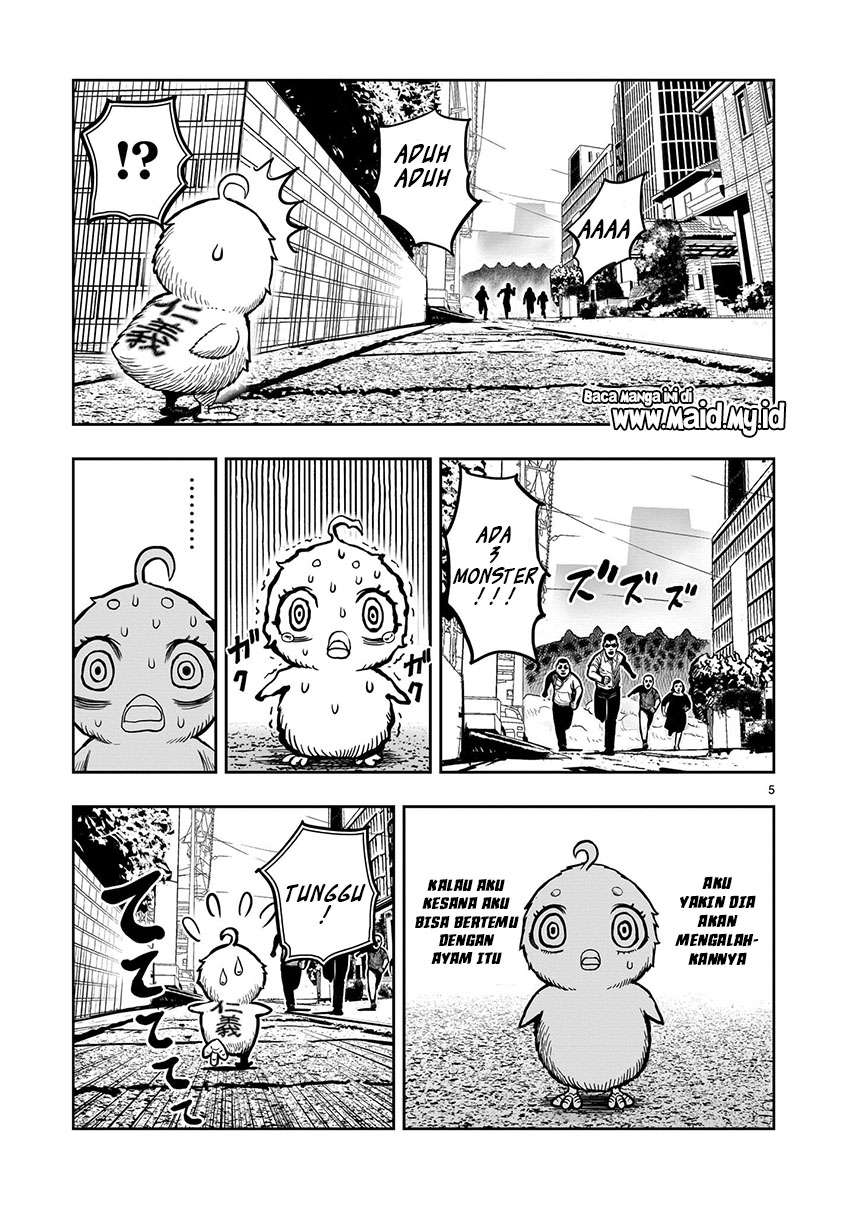 rooster-fighter - Chapter: 6
