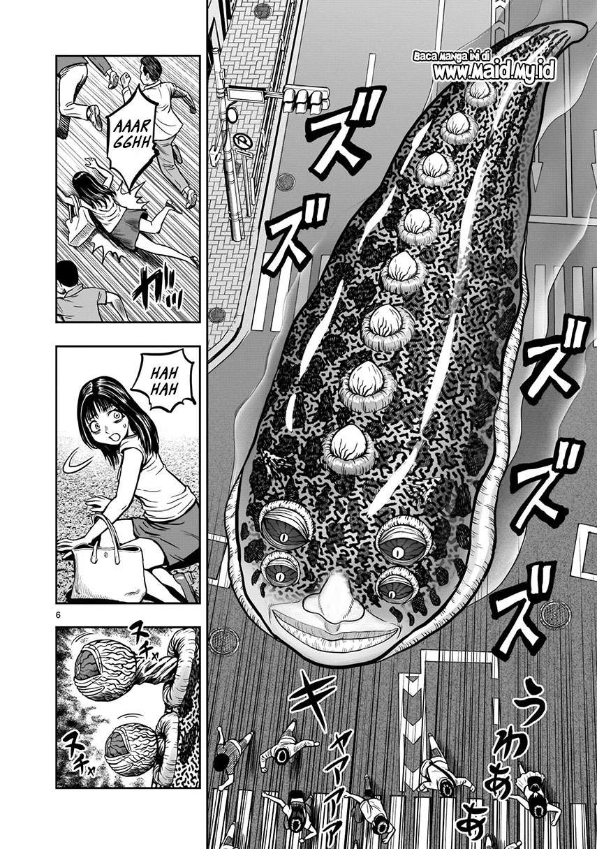 rooster-fighter - Chapter: 6