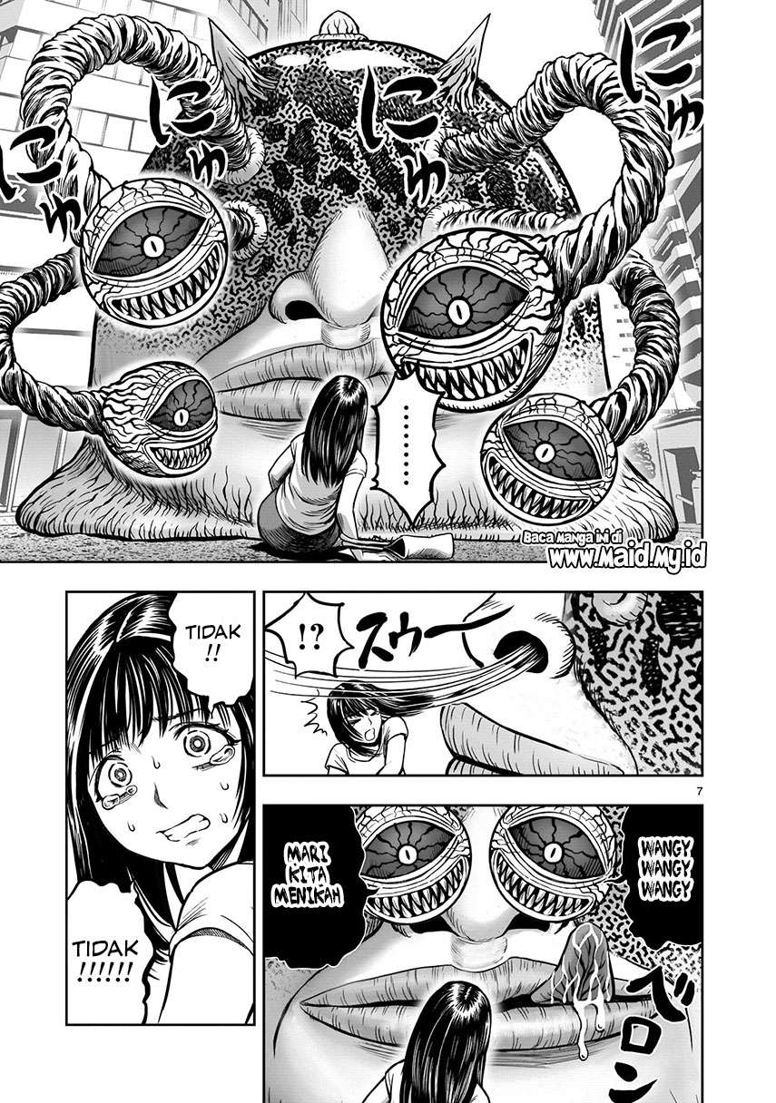 rooster-fighter - Chapter: 6