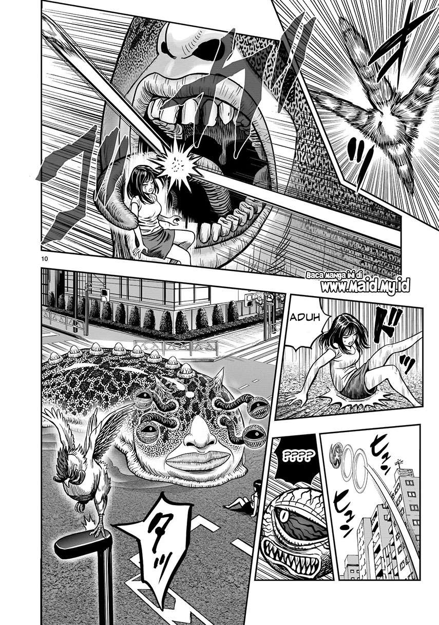rooster-fighter - Chapter: 6