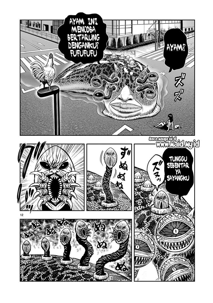 rooster-fighter - Chapter: 6
