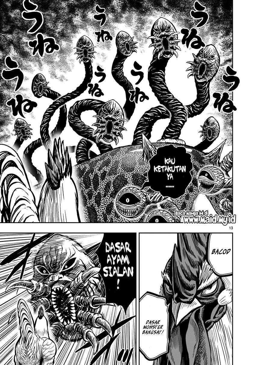 rooster-fighter - Chapter: 6