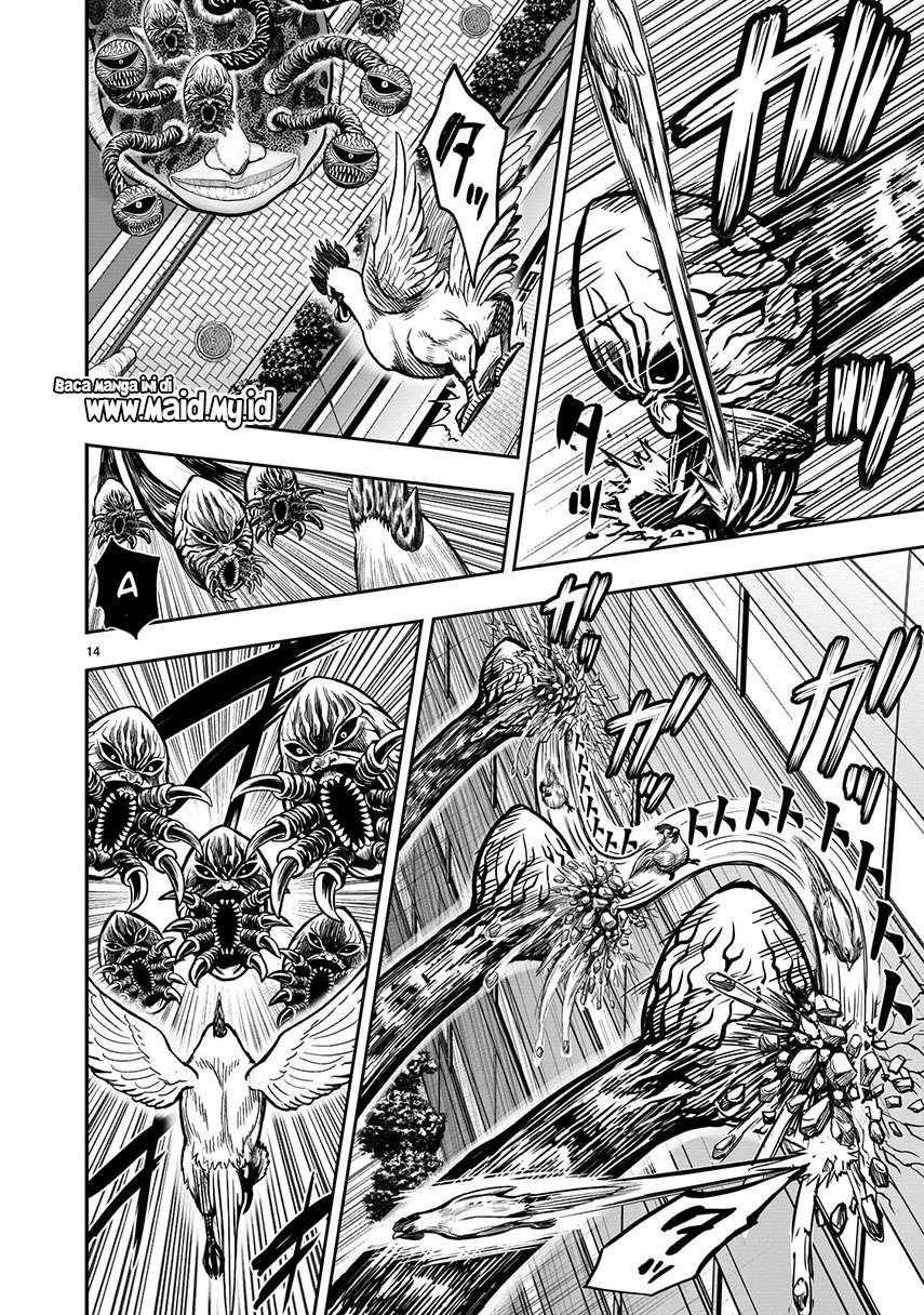 rooster-fighter - Chapter: 6