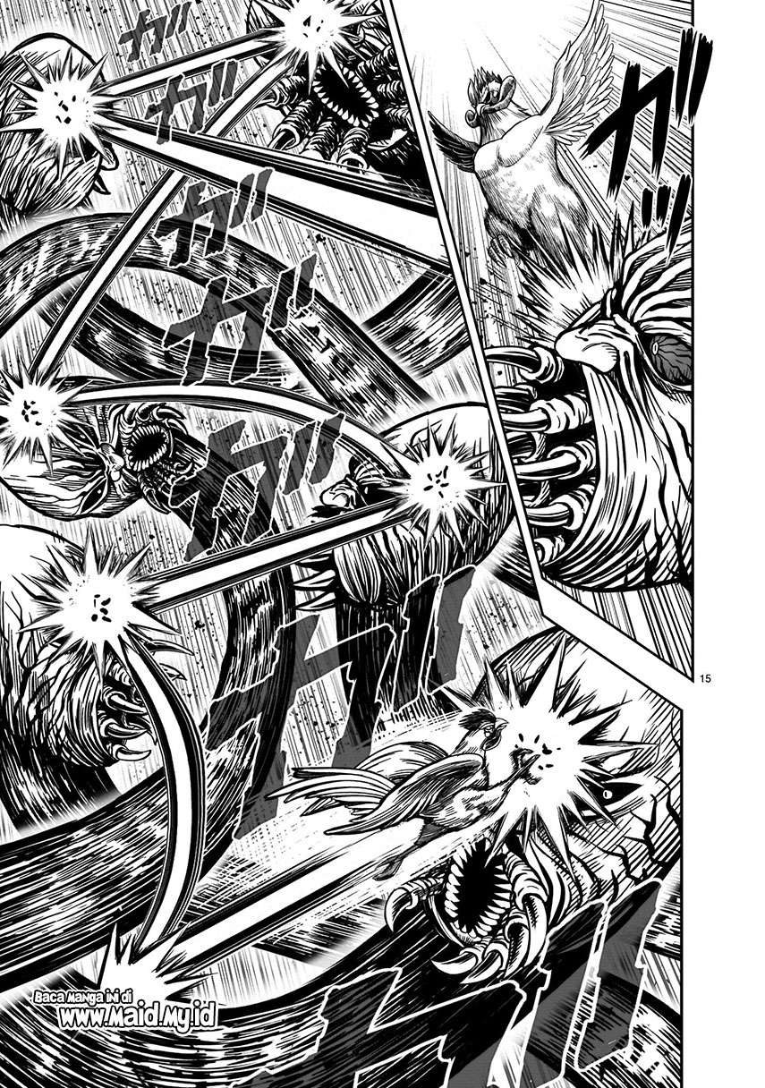 rooster-fighter - Chapter: 6