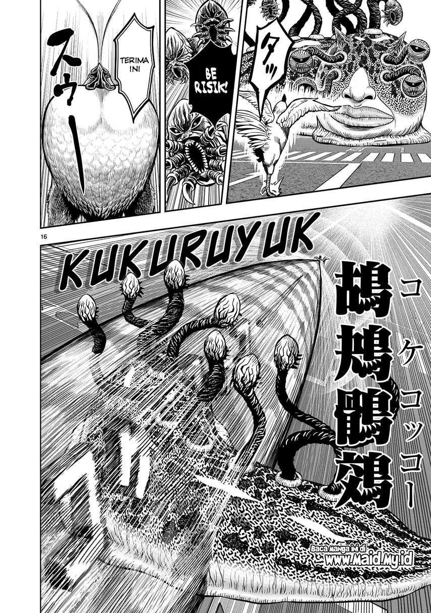 rooster-fighter - Chapter: 6