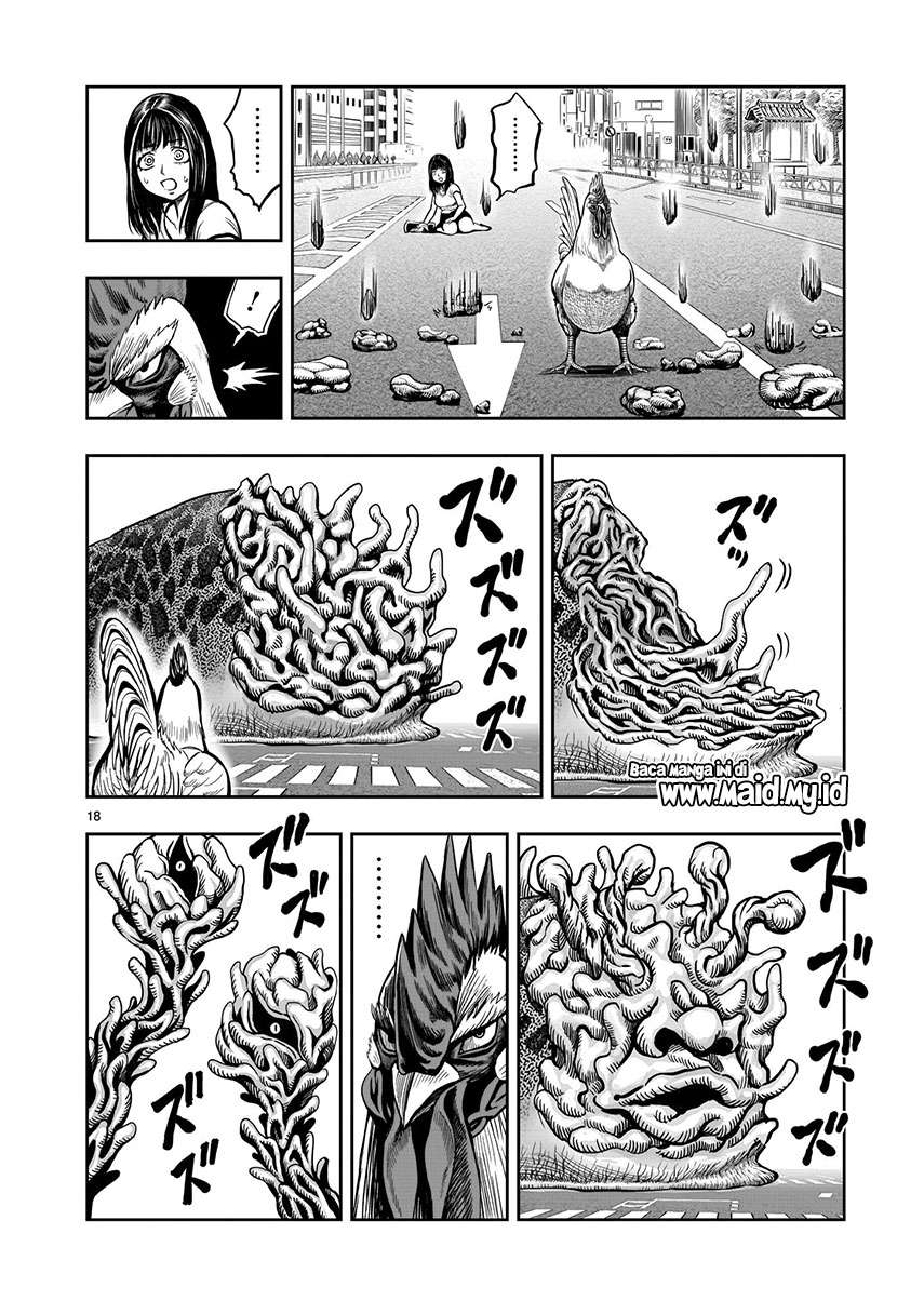 rooster-fighter - Chapter: 6