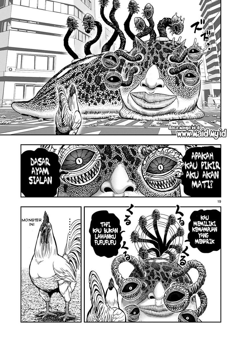 rooster-fighter - Chapter: 6