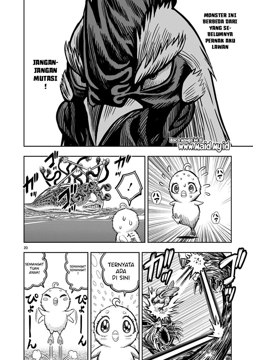 rooster-fighter - Chapter: 6