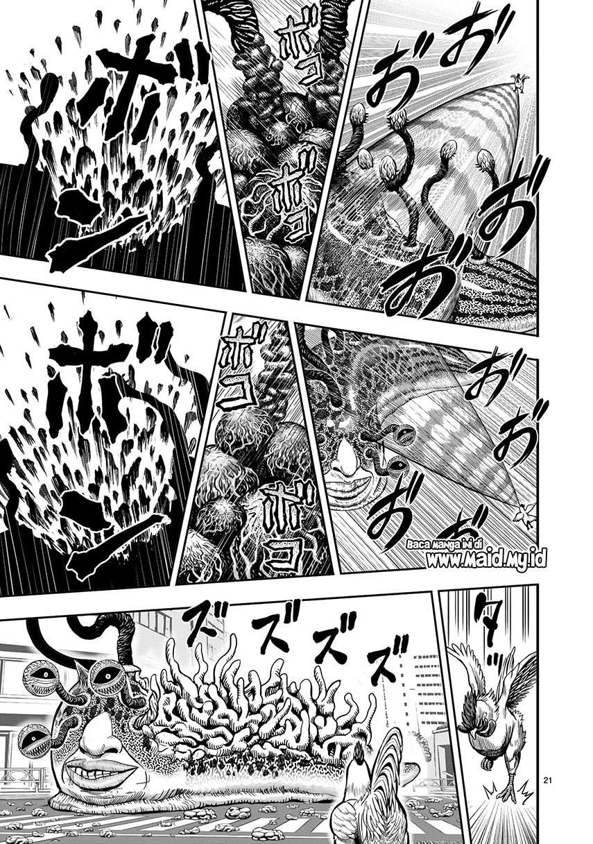rooster-fighter - Chapter: 6