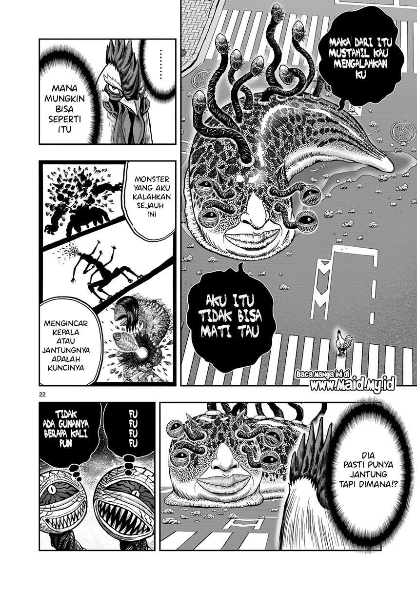 rooster-fighter - Chapter: 6