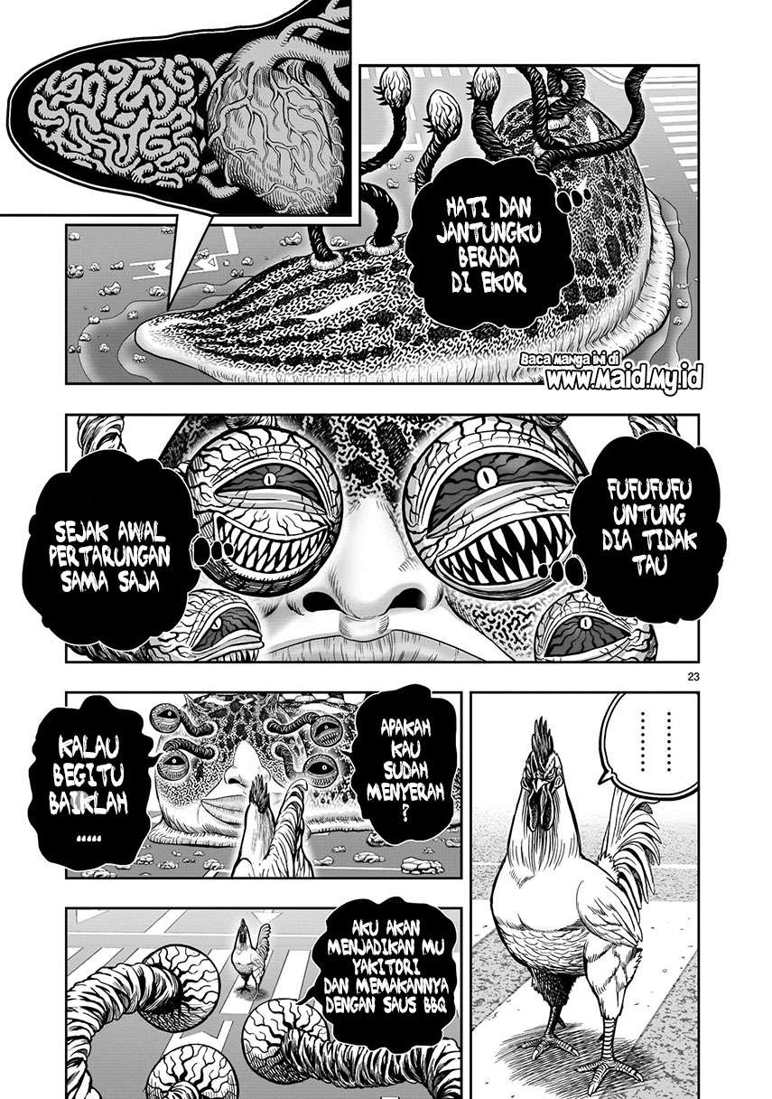 rooster-fighter - Chapter: 6