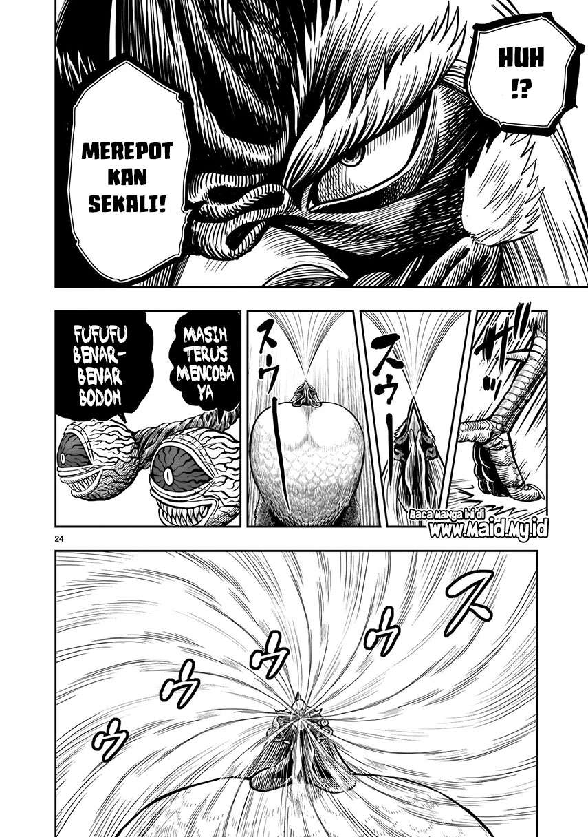 rooster-fighter - Chapter: 6