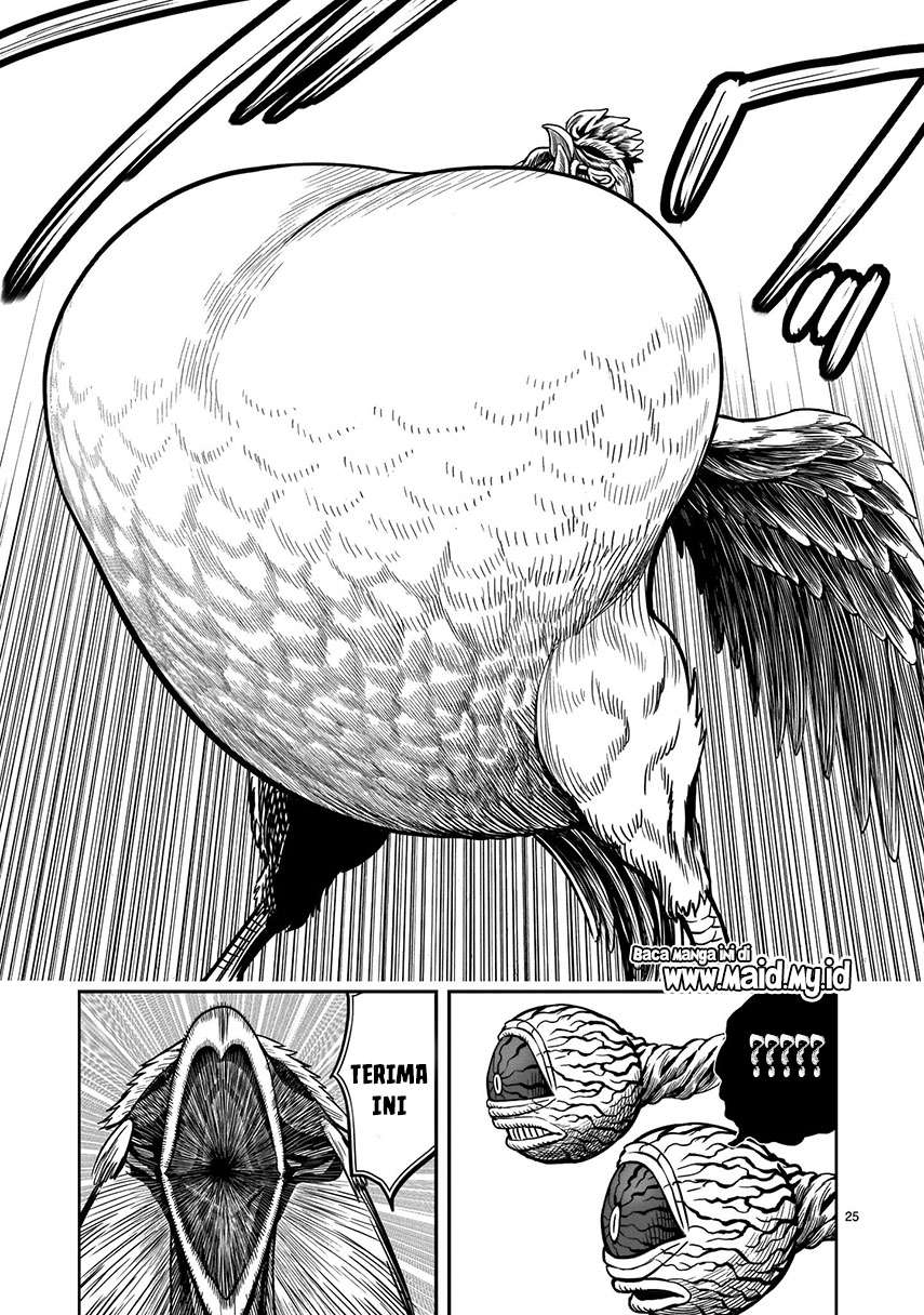 rooster-fighter - Chapter: 6