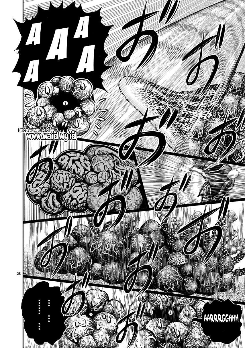rooster-fighter - Chapter: 6