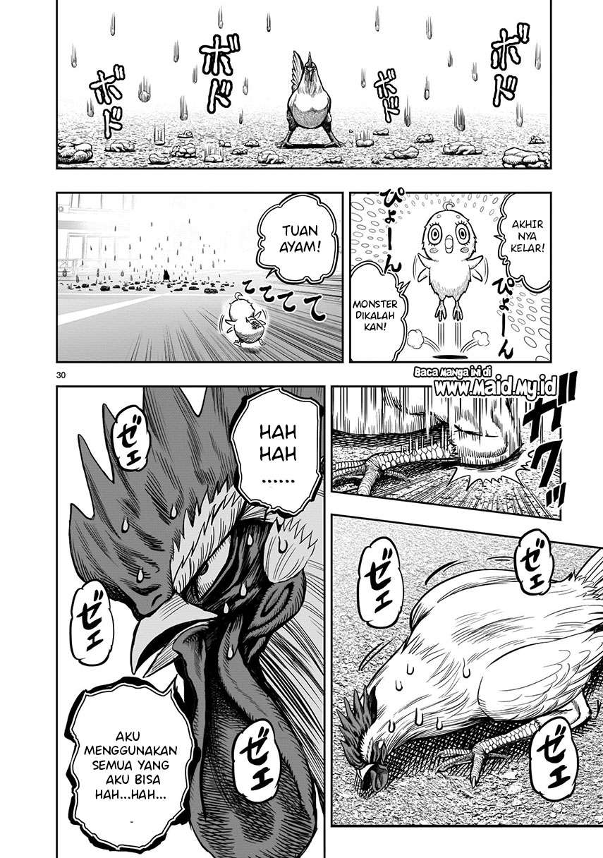 rooster-fighter - Chapter: 6