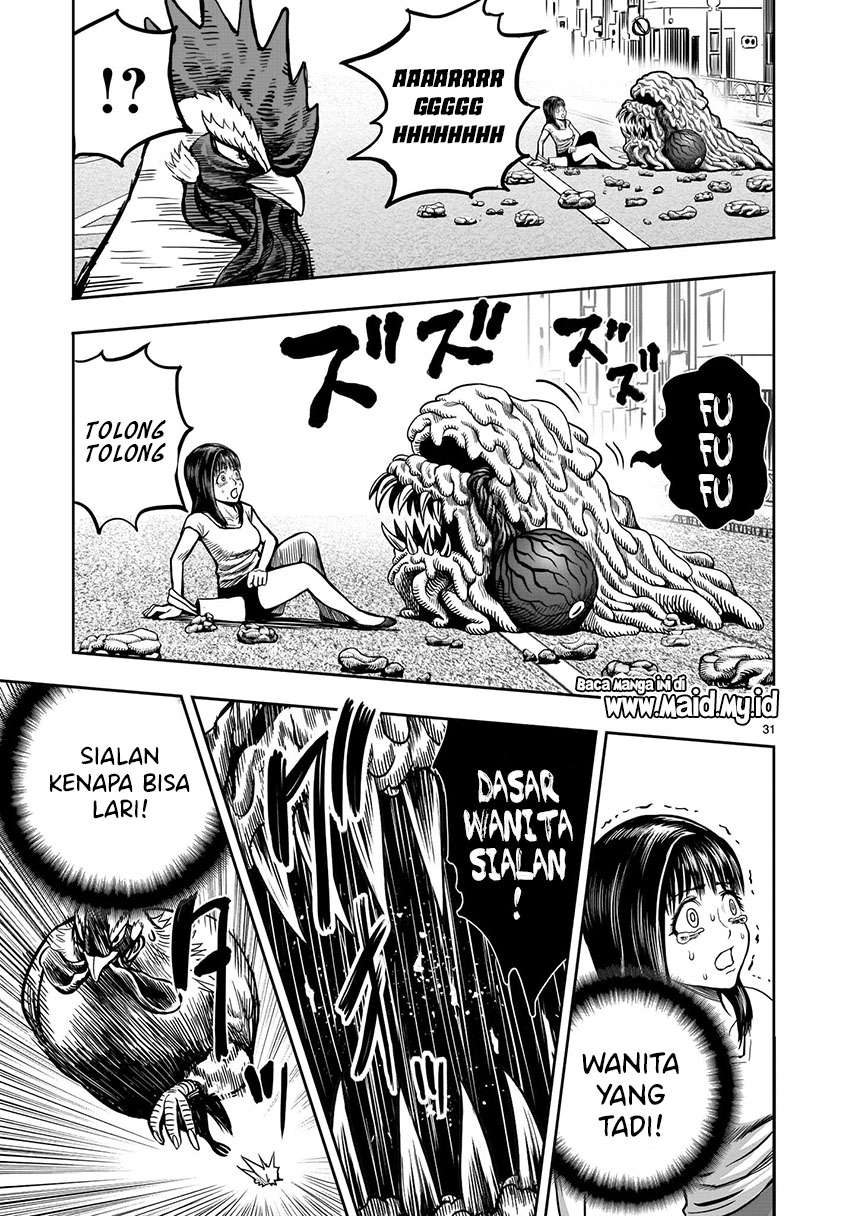 rooster-fighter - Chapter: 6