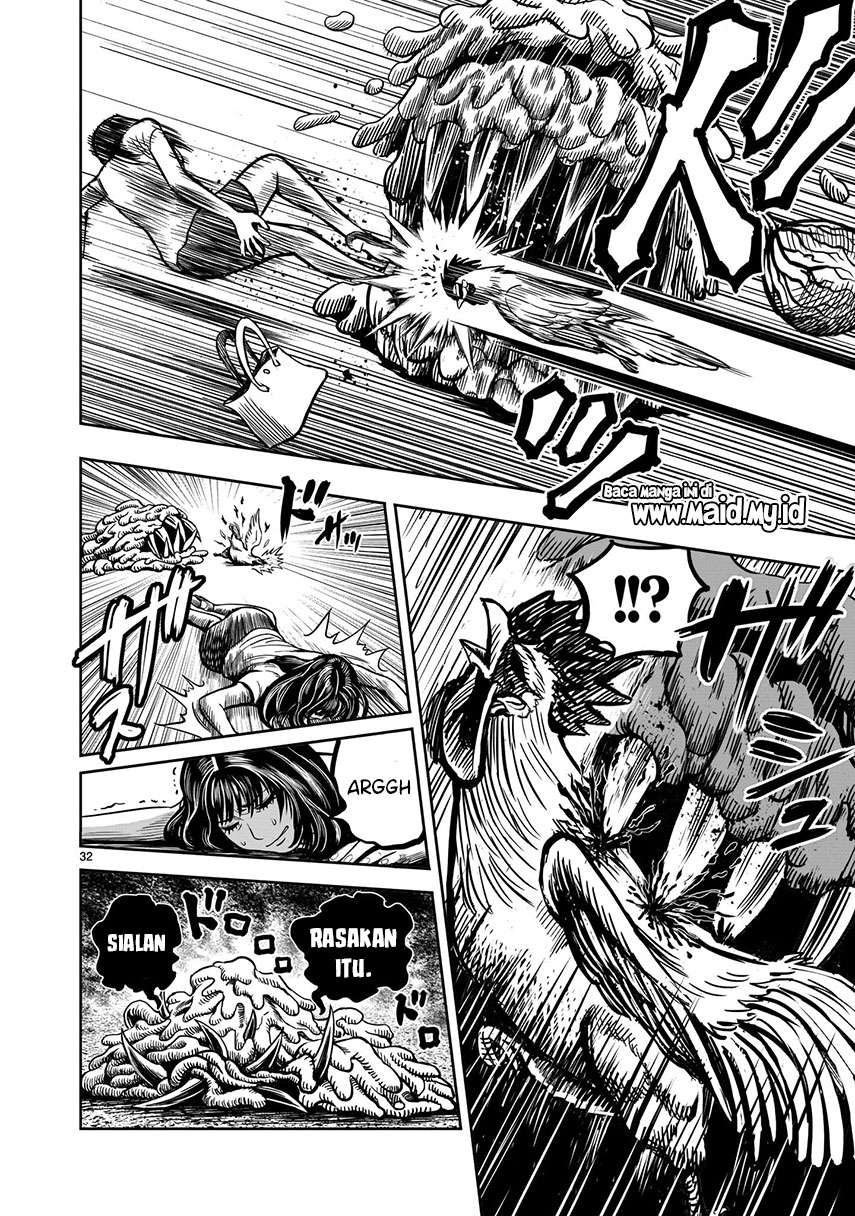 rooster-fighter - Chapter: 6