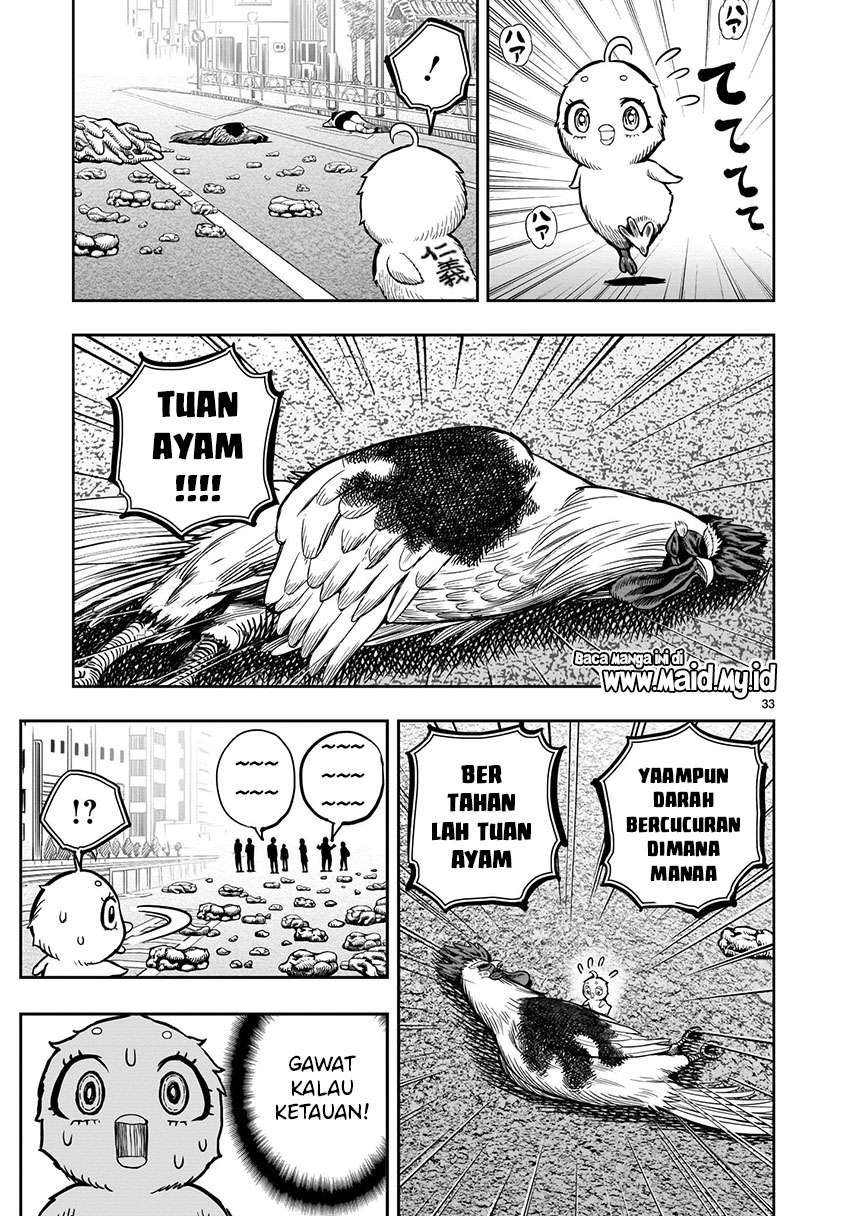 rooster-fighter - Chapter: 6