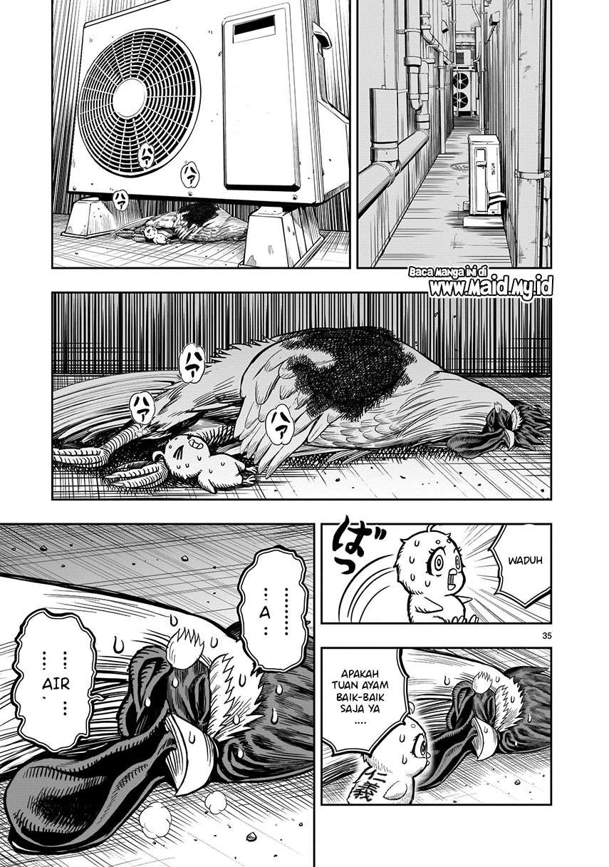 rooster-fighter - Chapter: 6